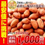千葉半立 素煎り or 味付け 落花生 220g(110g×2) ピーナッツ お試し品 おつまみ ALL¥1000 送料無料 千葉県産落花生使用 ゆうパケット