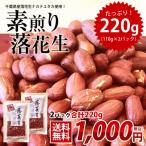 新豆 2022年産 千葉県産 落花生 素煎り　220g（110g×2） お試し品 ナカテユタカ ピーナッツ おつまみ ALL￥1000 送料無料 ゆうパケット