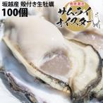 【１月中旬〜下旬　販売開始！】坂越産 殻付き 牡蠣100ヶ 生食OK★牡蠣の美味しいシーズン到来！臭みがなく食べやすい牡蠣♪【ぷりっぷりで新鮮！】　