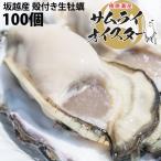 坂越産 殻付き 牡蠣100ヶ 生食OK★牡