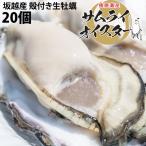 ショッピング牡蠣 【最終お届け５／１８】坂越産 殻付き 牡蠣20ヶ 生食OK★牡蠣の美味しいシーズン到来！臭みがなく食べやすい牡蠣♪【ぷりっぷりで新鮮！】