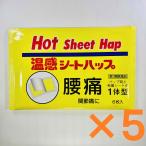  согревающая повязка - p6 листов [ no. 3 вид фармацевтический препарат ] 5 шт. комплект вне для обезболивание анти-воспламенение лекарство . ткань лекарство люмбаго онемение плеча .. боль удар ... мышечная боль .. боль обморожение мышечная усталость 