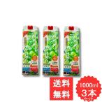 マスカットバーモントプラス 3本セット 乳酸菌発酵液 野草源酵素 プラセンタ 黒酢 沖縄（糸満）の塩 BCAA プロテタイト HMBカルシウム 砂糖・着色料不使用
