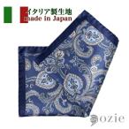  pocket square Classico Setapeiz Lee шелк 100% мужской сделано в Японии синий blue Италия производства ткань ojieozie модный 