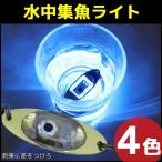 水中集魚ライト 夜釣り 釣り糸に付ける 点滅 イカ アジ タチウオ イワシ 仕掛け 夜焚き 自動点灯 海 レジャー アウトドア