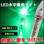 水中集魚ライト 常灯 点滅 夜釣り 釣り糸に付ける 水深300m イカ アジ タチウオ イワシ 仕掛け 夜焚き 自動点灯 海 レジャー アウトドア