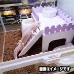 マルカン 爬虫類用ジオバルコニー｜登れる階段付きシェルター・休憩台【隠れ家にも】
