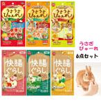 なくなり次第終了！マルカンうさぎの...