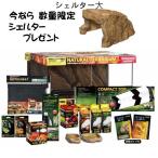今ならシェルターのおまけ付きジェックスフトアゴヒゲトカゲ&リクガメ飼育セットAセット（シェルター大）