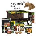 【初心者向け】フトアゴヒゲトカゲ&リクガメ飼育セット|ジェックス製ケージ+UVライト・保温・床材フルセット|今なら大型シェルター付き!