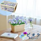 30％OFF エンジョイ プランター フラワー ビオラ ミニサイズ 栽培セット 発芽保障 家庭菜園 栽培キット 聖新陶芸