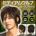 メンズウィッグ 男性用 かつら コスプレ ファッション イベント WIGGY RICH/ ヘアネット付き  メンズ ミディアムウルフ（ダークブラウン） （880035）