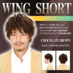  волосы сеть есть Lapin дверь ru Homme Wing Short шоколад Brown / мужской парик мужской парик костюмированная игра мода Event (5766)