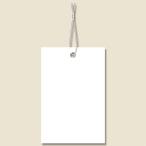 “メール便対象” 提札 ミニパック糸付 No.606白無地 100枚/束 1束