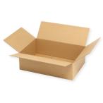  картон коробка A4 для -100 тонкий ( внутренний размер ширина 310 длина 220 высота 100 материал E флейта картон (1.5 толщина )) 20 листов 