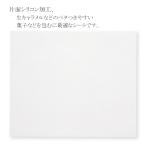 “送料無料/直送” 生キャラメルシート 白 120×100 10000枚