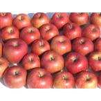 りんご 訳あり ジュース用 10kg