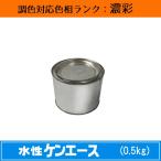 水性ケンエース 濃彩色 0.5kg 1缶 日本ペイント 日塗工見本帳参照色 調色 ニッペ