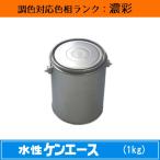 水性ケンエース 濃彩色 1kg 1缶 日本ペイント 日塗工見本帳参照色 調色 ニッペ