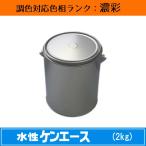 水性ケンエース 濃彩色 2kg 1缶 日本ペイント 日塗工見本帳参照色 調色 ニッペ