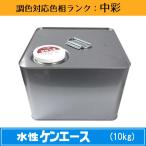 ショッピングf-05d 水性ケンエース 中彩色 10kg 1缶 日本ペイント 日塗工見本帳参照色 調色 ニッペ