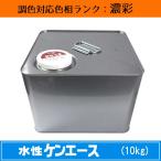 水性ケンエース 濃彩色 10kg 1缶 日本ペイント 日塗工見本帳参照色 調色 ニッペ