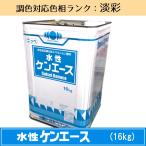 水性ケンエース 淡彩色 16kg 1缶 日本ペイント 日塗工見本帳参照色 調色 ニッペ