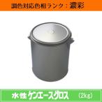 水性ケンエースグロス 濃彩色 2kg 1缶 日本ペイント 日塗工見本帳参照色 調色 ニッペ