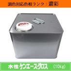 水性ケンエースグロス 濃彩色 10kg 1缶 日本ペイント 日塗工見本帳参照色 調色 ニッペ