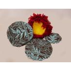 ウリウリカバー（ウリウリケース）ULIA0494