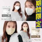 ショッピング接触冷感 不織布マスク マスク 不織布 立体 3Dマスク 小顔マスク バイカラーマスク 立体マスク 不織布マスク耳が痛くならないシシベラ プリーツマスク 肌に優しい 10枚