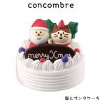 concombre コンコンブル クリスマス　猫とサンタケーキ