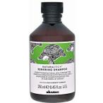 ダヴィネス ナチュラルテック シャンプー＜RN＞ 250ml