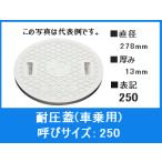 タキロン 雨水マス 水封ふた 蓋 耐圧 250 直径 278mm 車道用 レジコン 表示250 車道 ふた フタ 車乗 車 自動車 重量 2トン