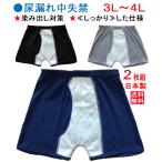  трусы при недержании большой размер мужской [2 листов комплект ]. запрет меры 100cc #[ надежно ] считая . товар сделано в Японии 