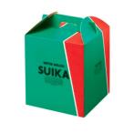 【10枚】スイカキャリー(特大)スイカ フルーツ 果物 贈答 箱 ギフトボックス 10枚入