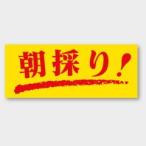 ショッピング販売 シール（販売促進用）　朝採り！　（M-126）10冊　サイズ50 mm × 20 mm　10,000枚（1000枚入り×10冊）　送料無料