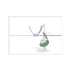 【メール便対応(2袋まで)】 タカ印 のし紙 <仏事用>蓮 本中判(山) 3−427 (100枚入)