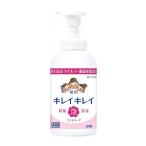 ★送料無料★ ライオン キレイキレイ 薬用泡ハンドソープ シトラスフルーティの香り 業務用 2L 1本