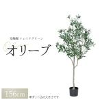 観葉植物 フェイク フェイクグリーン 大