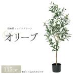 観葉植物 フェイク フェイクグリーン 大