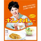 沖縄限定パッケージ！ 【ボンカレー　中辛】180g  1個