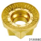 i Skull C chip COAT(R90MT1205-RM)135-2741 [i Skull Japan ( АО )]