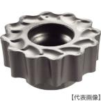 i Skull C прочее mi- кольцо | chip COAT(RCMT 1206-FW-F20)338-8492 [i Skull Japan ( АО )]