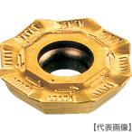 i Skull C chip COAT(REMT1505-LM-76)521-0046 [i Skull Japan ( АО )]