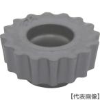 i Skull C прочее mi- кольцо | chip COAT(RXMT 10T3-RM)626-0284 [i Skull Japan ( АО )]