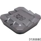 i Skull D chip COAT(SEKR1203AFN-76)521-2103 [i Skull Japan ( АО )]