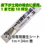  Toyota .. жилье для кварцевый гель пол защитное полотно 10 цубо размер (.. водонепроницаемый .. предотвращение )