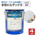 �����r���f�b�NII�@���L�@�W�ʐF�@4kg �i����{�h��/�����A�N���������n�����h��/�h�J�r/�h��/���j�~�߁j