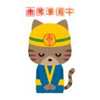 クールタイトプライマー 16kgセット エスケー化研 屋根用遮熱塗料(10000279)